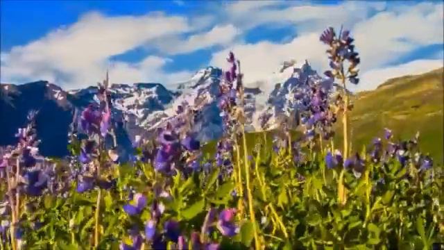 Дева моя Земля. ВСЁ ЗАцвеЛО во благо..))))) смотреть онлайн