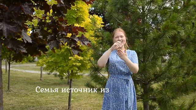Гимн семьи на жестовом языке смотреть онлайн