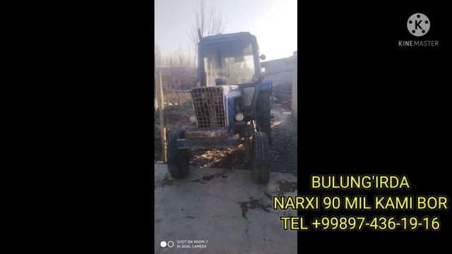 TRAKTOR NARXLARI #mtz80 #ttz смотреть онлайн
