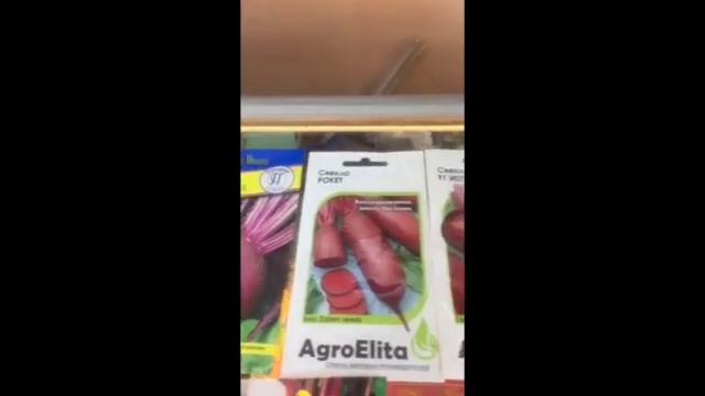 #барыня #свекла #выбор свеклы #обзор семян свеклы#shorts смотреть онлайн