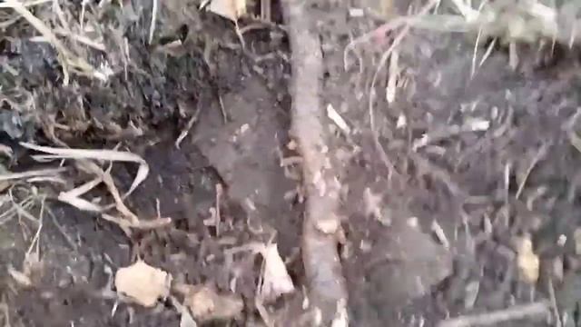 Копаю металл. Поиск с металлоискателем. хорошие Находки. Коп металла.