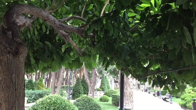 Баку, Тенистый Тихий Парк Измир/ Baku, Izmir Park