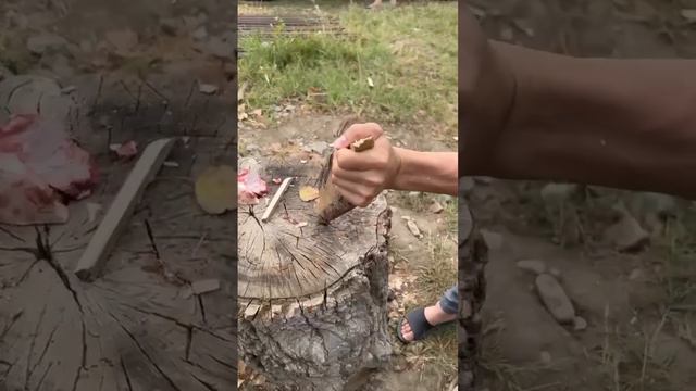 Бойня. Скоторез. Тест смотреть онлайн