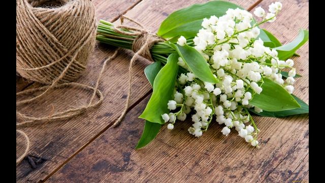 Ландыши. Поёт Нина Биктимирова, 80 лет смотреть онлайн