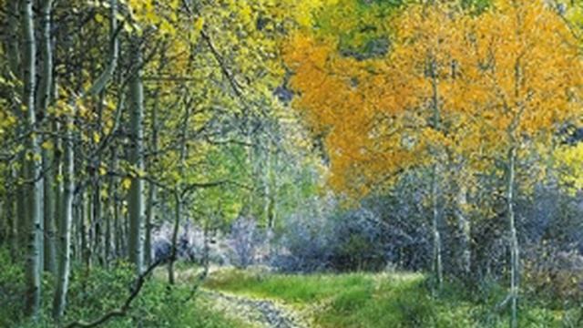Хора из фильма Красные поляны смотреть онлайн