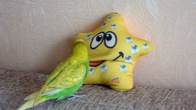 Самый МИЛЫЙ и ЗАБАВНЫЙ попугайчик//Веселый РУЧНОЙ волнистый попугай//Птицы смотреть онлайн