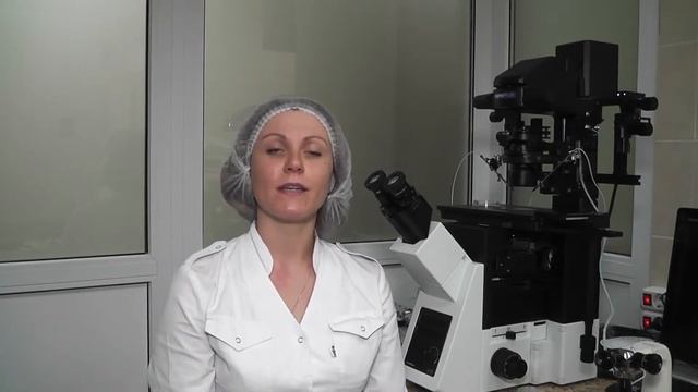 Эмбриология коллапсирование бластоцист перед заморозкой