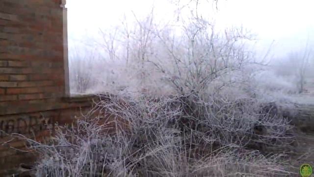 Заброшенная водокачка смотреть онлайн