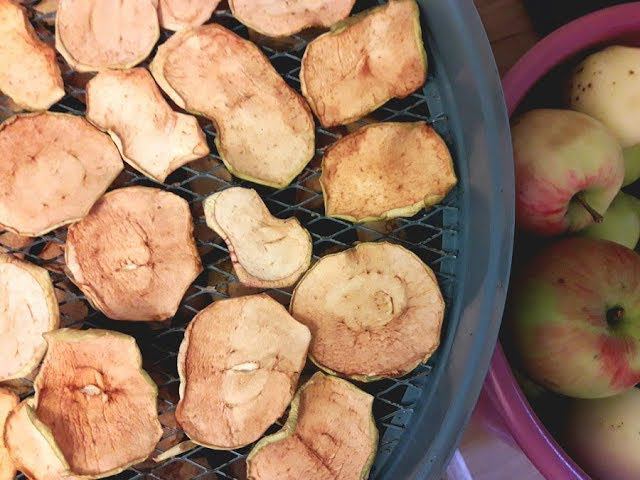 Галина Андреева