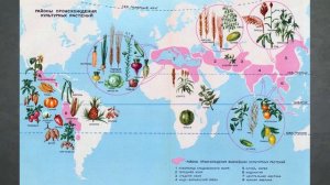 Биология. Селекция.