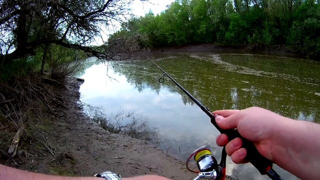 Ловля нахлыстом