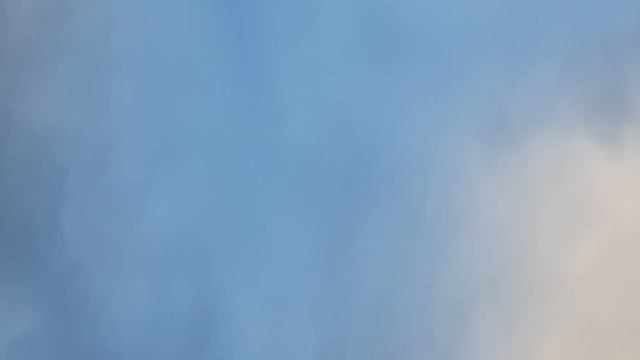 Иранские бойные голуби//Головатые//Интересный голубёнок//Отлетали час, сам виноват смотреть онлайн