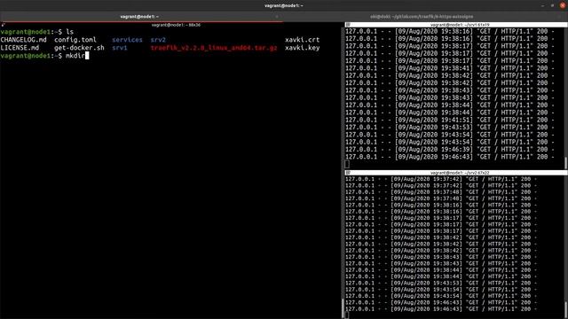 TRAEFIK - 6. HTTPS : AVEC CERTIFICAT AUTO-SIGNE смотреть онлайн