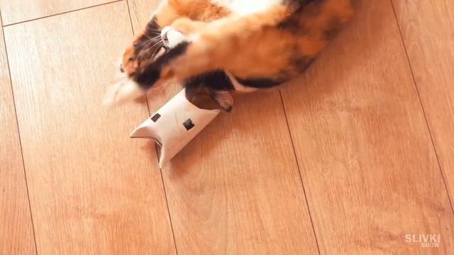 8 лайковых для кота смотреть онлайн