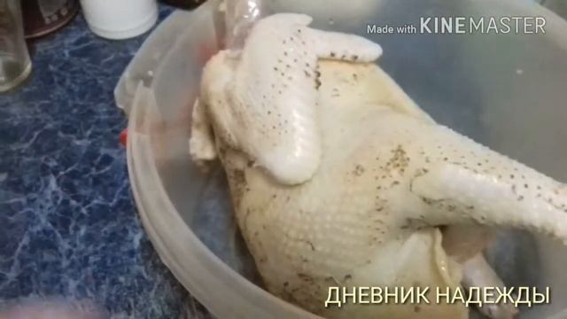 Закололи курицу и вот что в ней смотреть онлайн