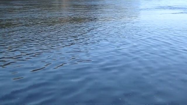 1 Мая Шнурки клюют как плотва. Ловля на живца щуки смотреть онлайн