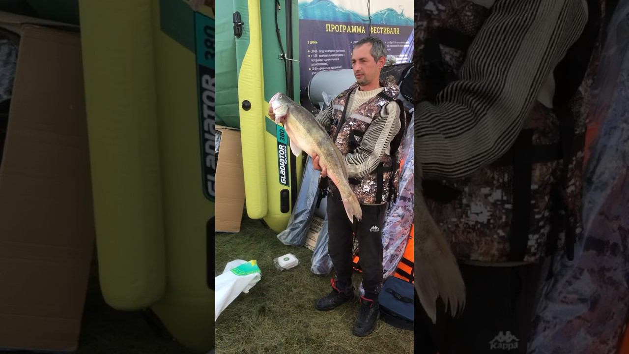 Рыболовный улов участников фестиваля «Золотая осень - 2023». Вот так рыбины! смотреть онлайн