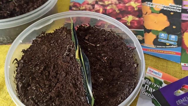 123.Удачи и промахи в выращивании однолетников// 19.03.23