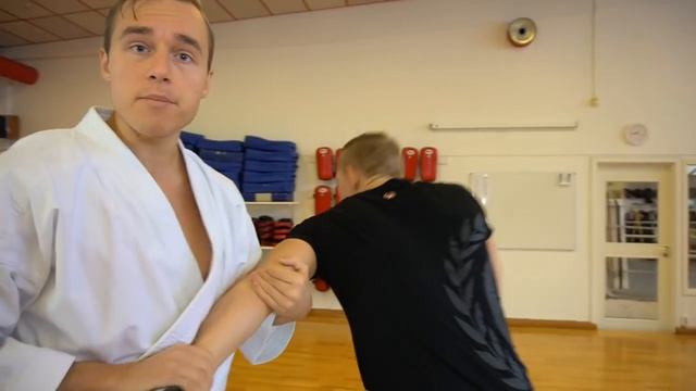 THIS BUNKAI SECRET MAKES YOUR KATA PRACTICAL — Jesse Enkamp смотреть онлайн