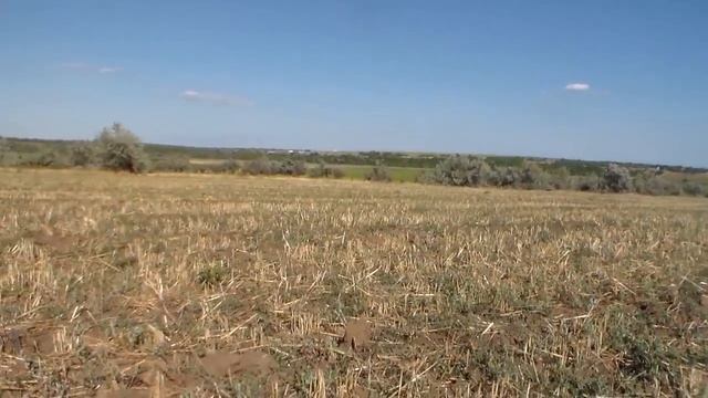 Выбитое Поле и Зачетные находки на XP DEUS - Cibola - XTerra 505 смотреть онлайн