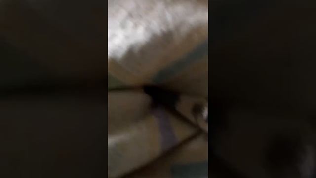 Statek który tonie смотреть онлайн