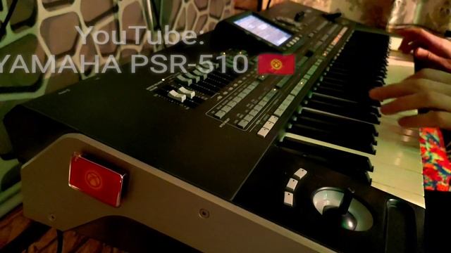 На белом покрывале января Cover On KORG PA3X