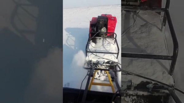 Мото собака Форза 17л/с.