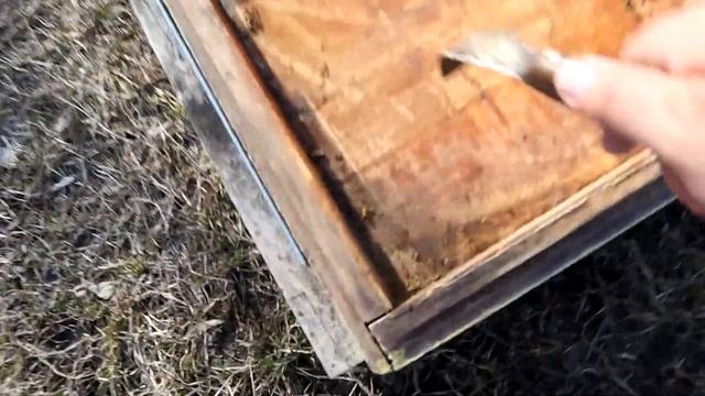 Пчеловодство. Перезимовали 100%. Хочешь так, делай как я. смотреть онлайн