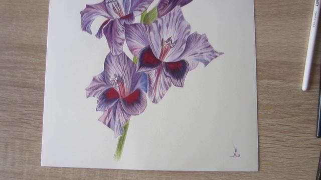 Art Space, "Gladiolus" смотреть онлайн