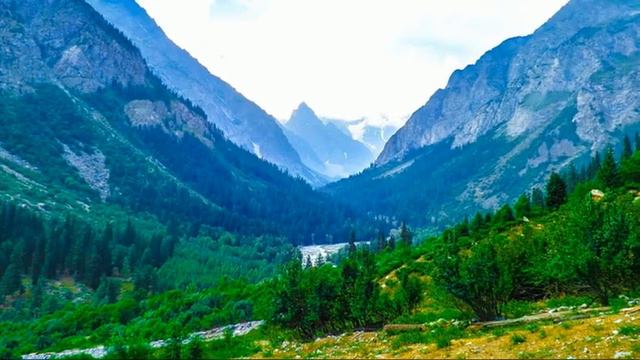 Bach Cello Suite No 4 смотреть онлайн