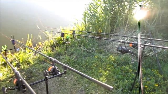 Карповая рыбалка. Снова "Дикарь" смотреть онлайн