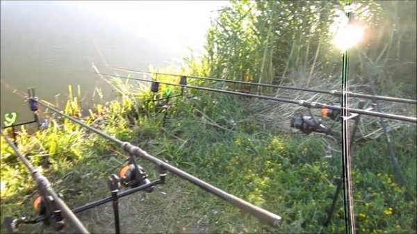 Карповая рыбалка. Снова "Дикарь"