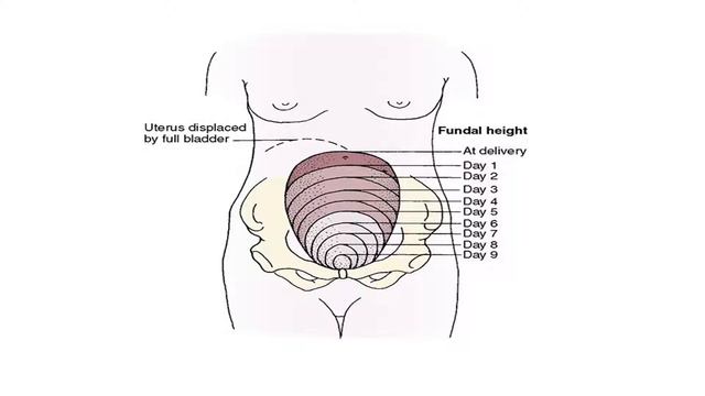 TVEC (සිංහල) - Nursing - Lesson 01 смотреть онлайн