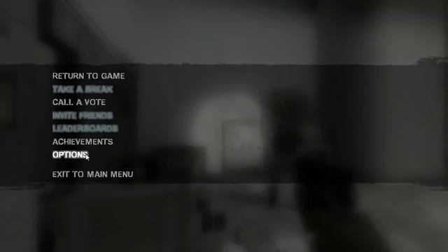 Left  4 Dead 2 Running On Hd4250 IGP