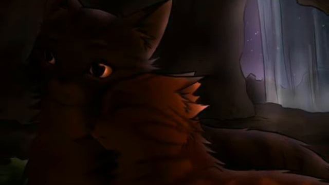 Коты Воители Белка и Ежевика смотреть онлайн