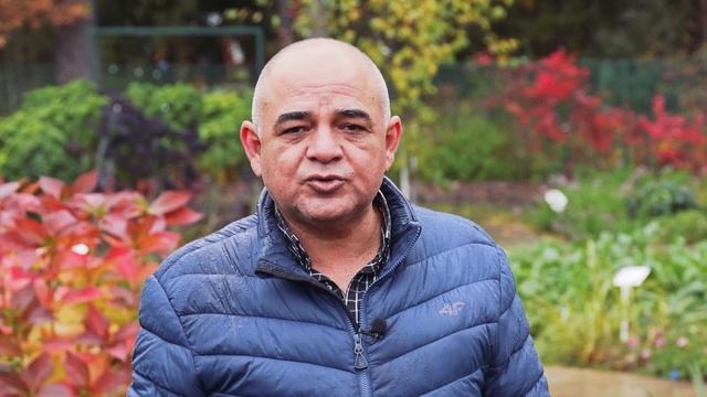 Когда и Как Сеять под Зиму для Раннего Урожая смотреть онлайн