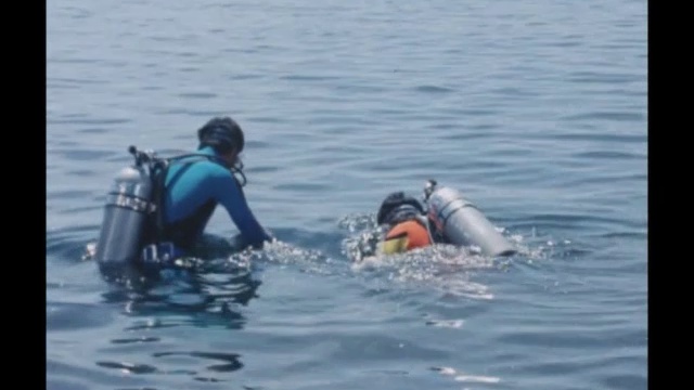 太陽にほえろ！ 第574話 冒険の海 смотреть онлайн