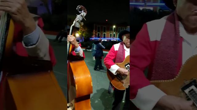 Банда нортенья в Мехико сити смотреть онлайн