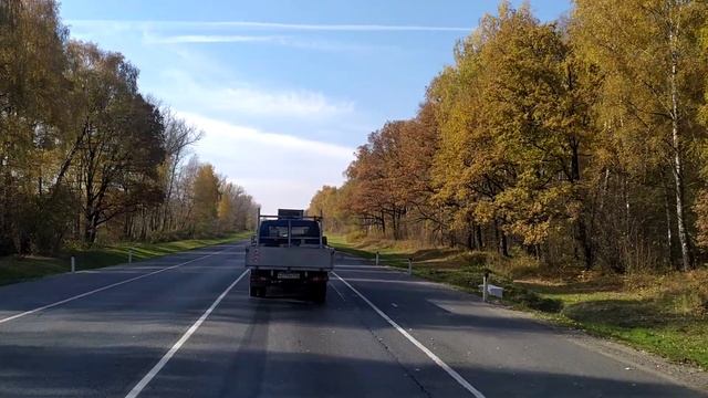 Листья сыплются дождем смотреть онлайн