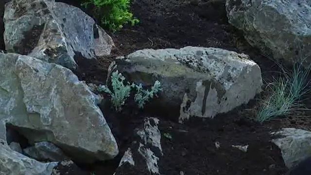 Закладка альпинария смотреть онлайн
