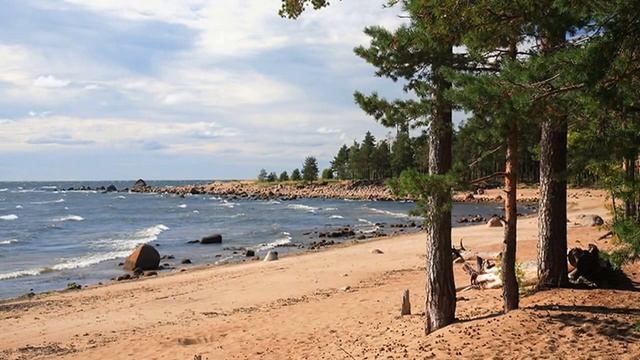 Финский залив смотреть онлайн