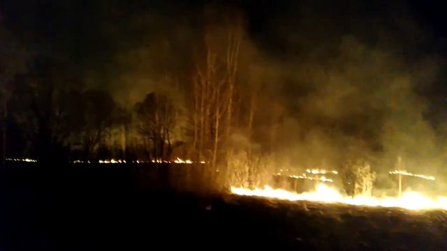 Пожар в лесу Заволжского района продолжается смотреть онлайн