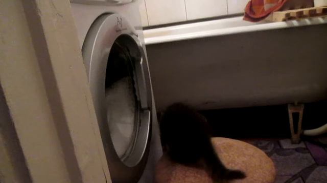 Котёнок и стиральная машина. смотреть онлайн