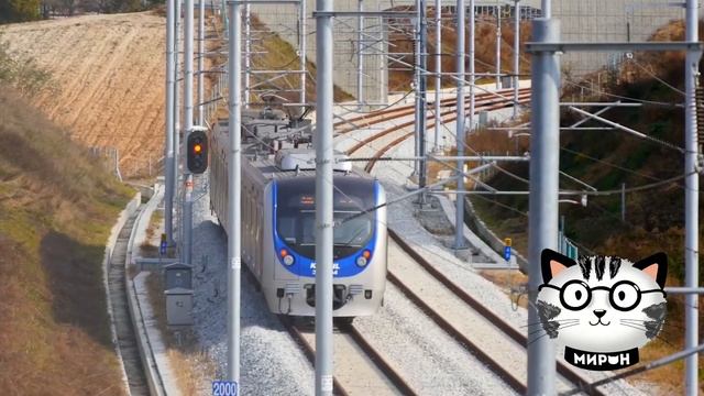 Электричество | Анимация смотреть онлайн