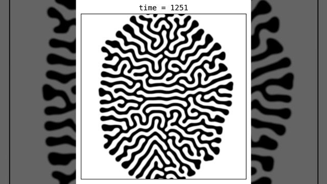 Fitzhugh-Nagumo --- Labyrinth Patterns смотреть онлайн