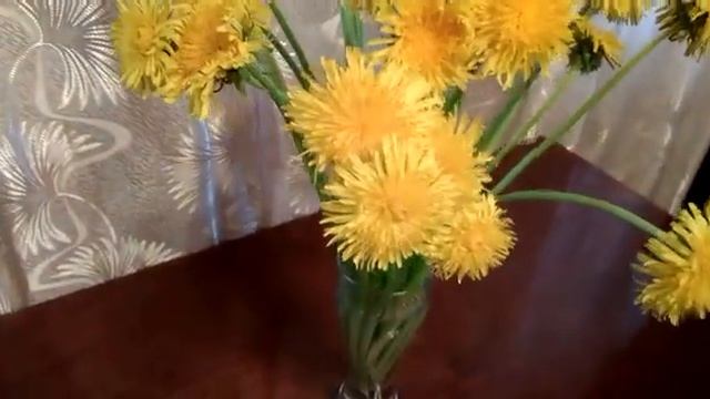 #дача #букет /Золотой букет солнечных одуванчиков ( лат. Taraxacum officinale). Дачная фантазия смотреть онлайн