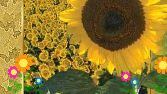 Подсолнечник Лакомка (Lakomka). Краткий обзор, описание характеристик, где купить семена смотреть онлайн