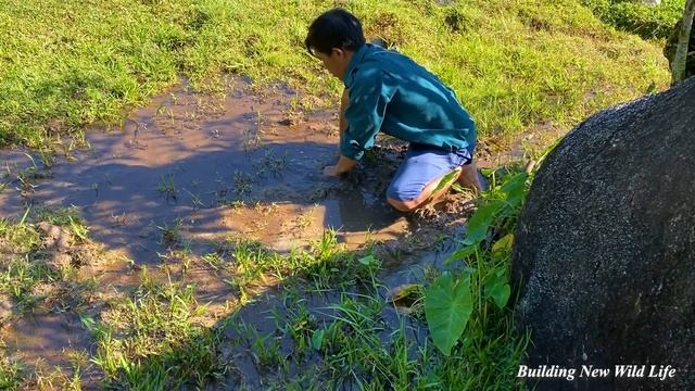 Survival skills - Foraging in the forest - How to catch eels | Building New Wild Life Ep 09 смотреть онлайн
