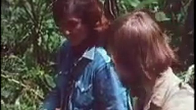 Gorillas of the Mountains Part 2 смотреть онлайн