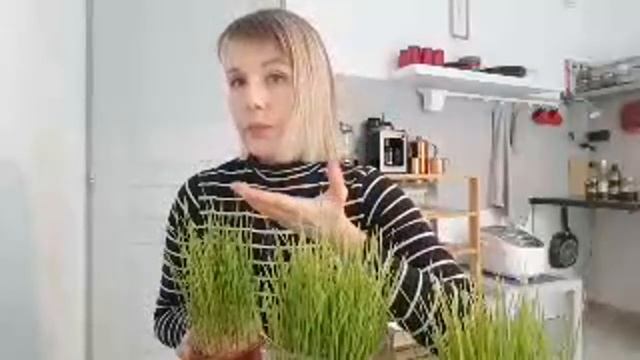 Французский Ритуал на БОГАТСТВО УДАЧУ и ЗДОРОВЬЕ в Новом Году. Традиции Прованса. смотреть онлайн